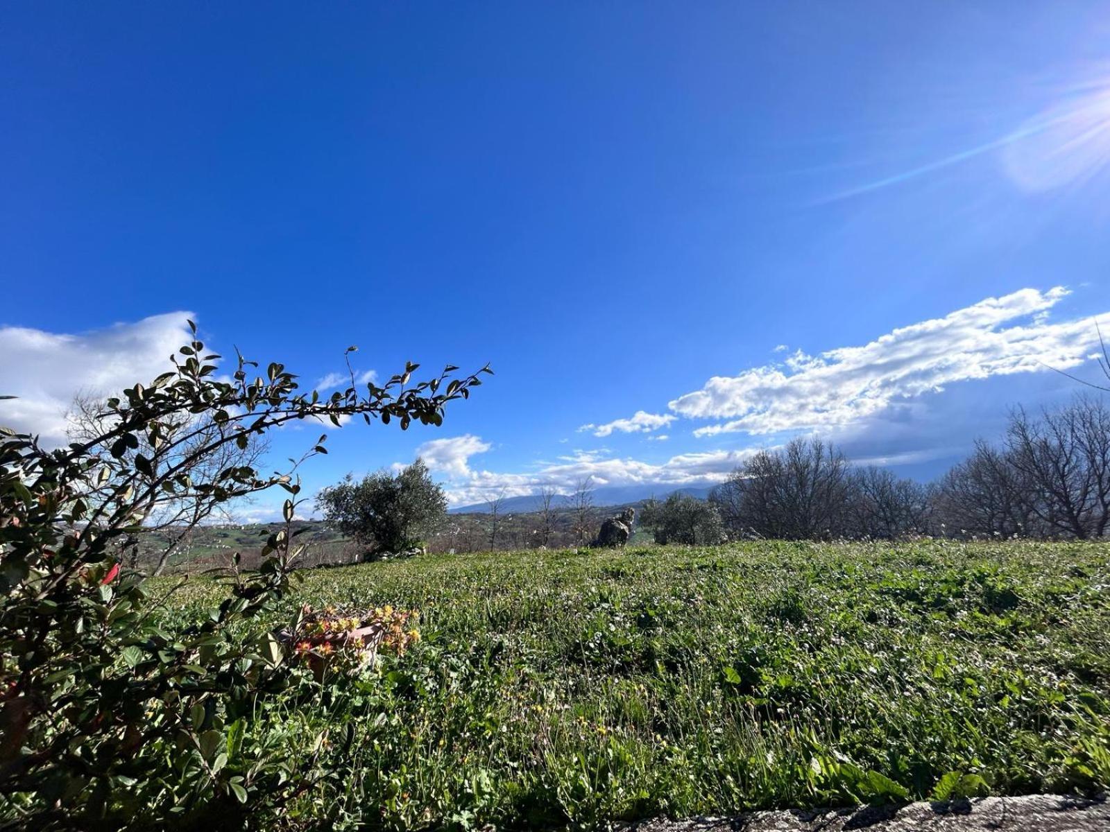 Residence San Martino Appartamento Mini Busso ภายนอก รูปภาพ